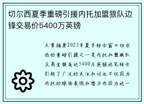 切尔西夏季重磅引援内托加盟狼队边锋交易价5400万英镑